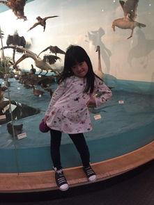 日韩精品天海在线观看,尽享视听盛宴